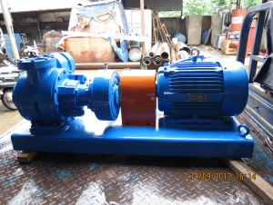 Bơm Cánh Gạt Blackmer