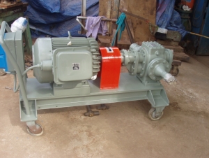 Bươm Bánh Răng 1